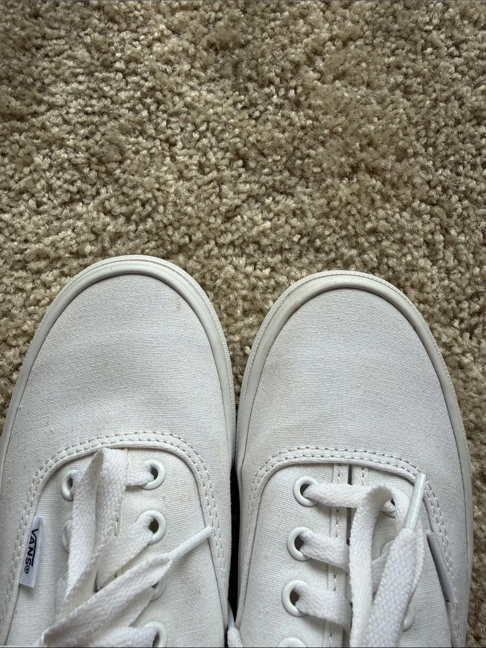 Vans White Low-Top Canvas Sneakers